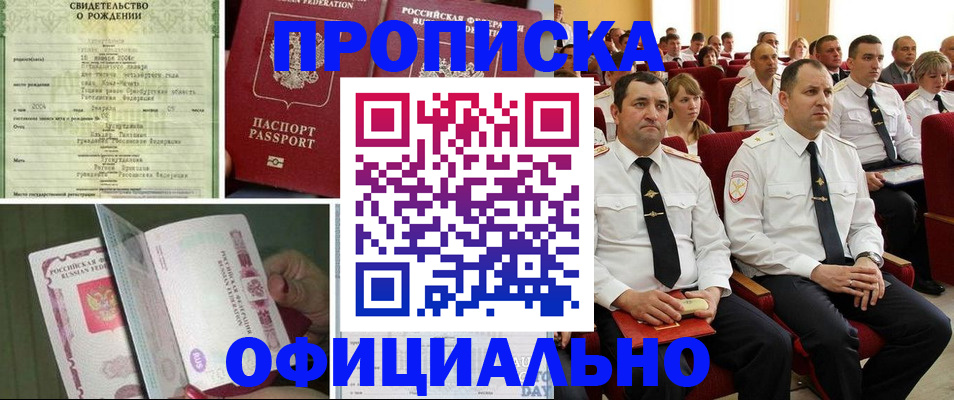 форма 3 в Новгородской области